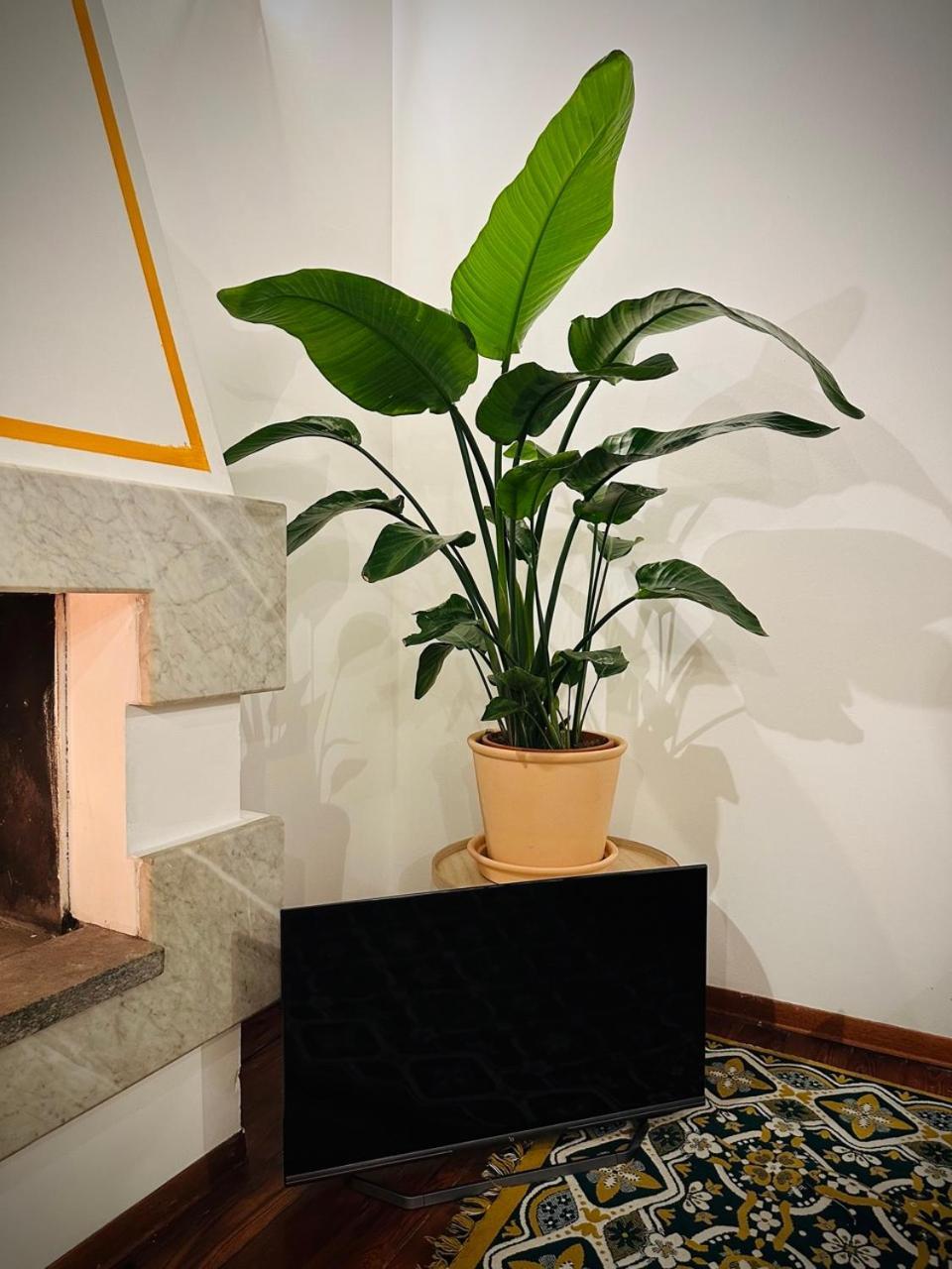 Wow House In Torino Apartman Kültér fotó
